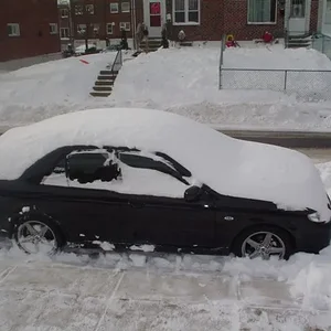 MSP & Outback 002.webp