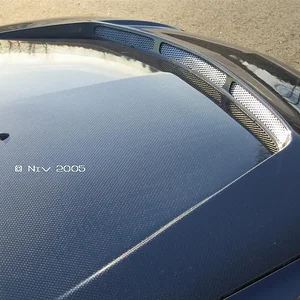 IMG_0029 (Large)copyright29.webp