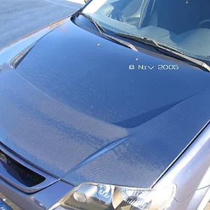 IMG_0033 (Large)copyright33.webp