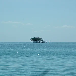DSCF0014.webp