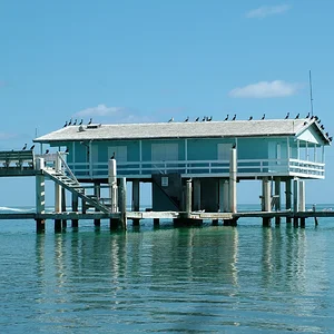 DSCF0022.webp
