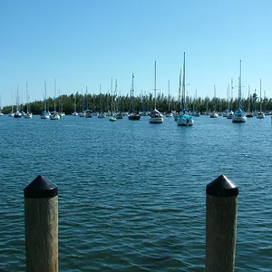 DSCF0040.webp