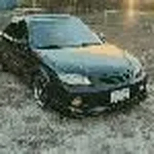 Picture 013.webp
