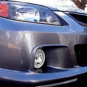 SpeedFogsCloseup.webp