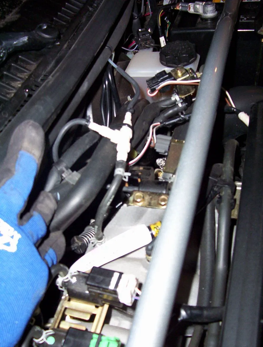 000_0092.jpg