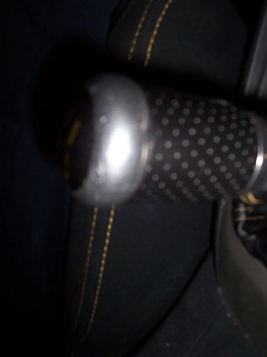 000_0733.webp