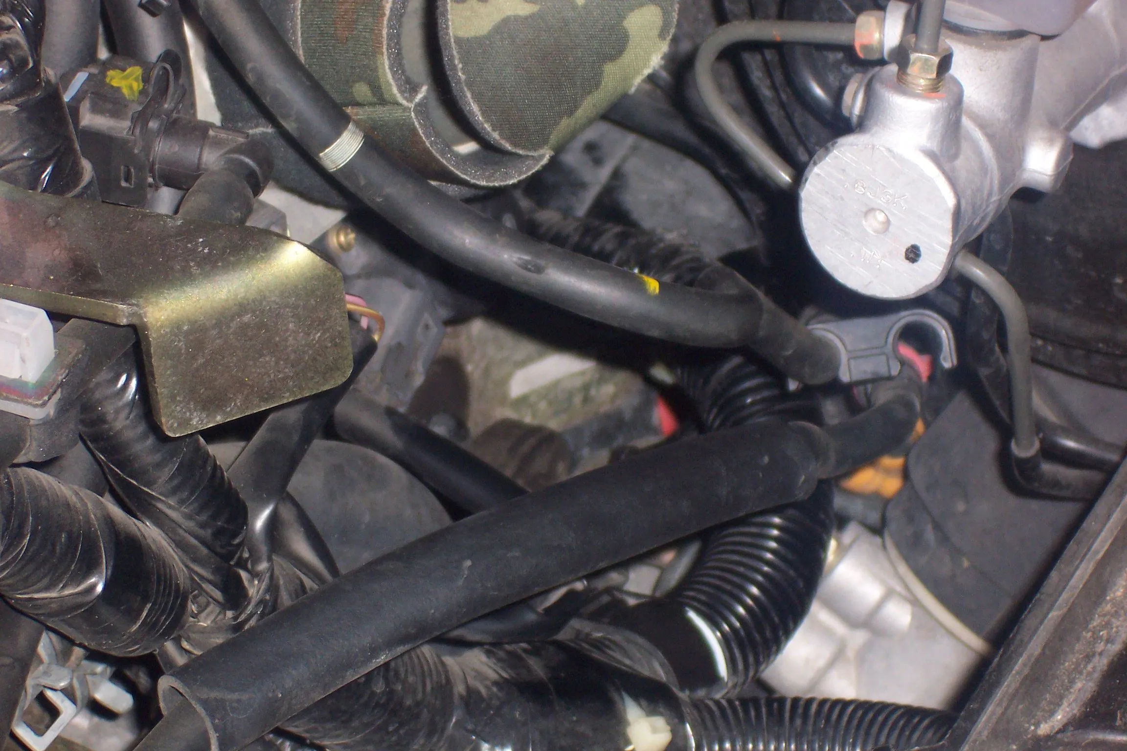 000_0871.webp