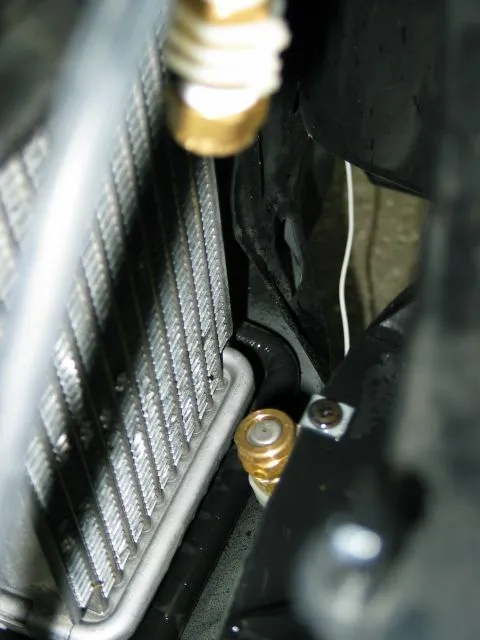 0046_r1.jpg