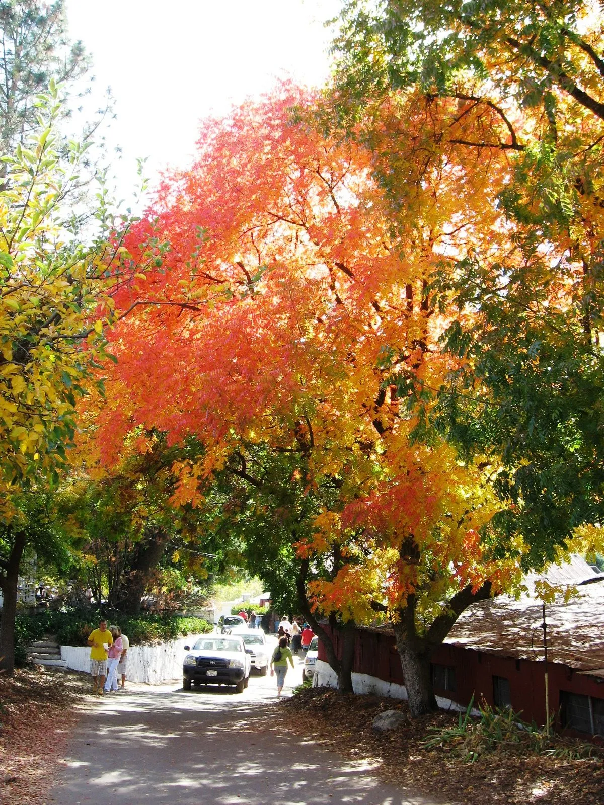 10-20-07 046.webp