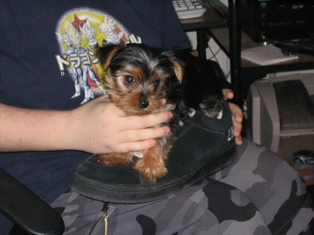 100_0009.webp