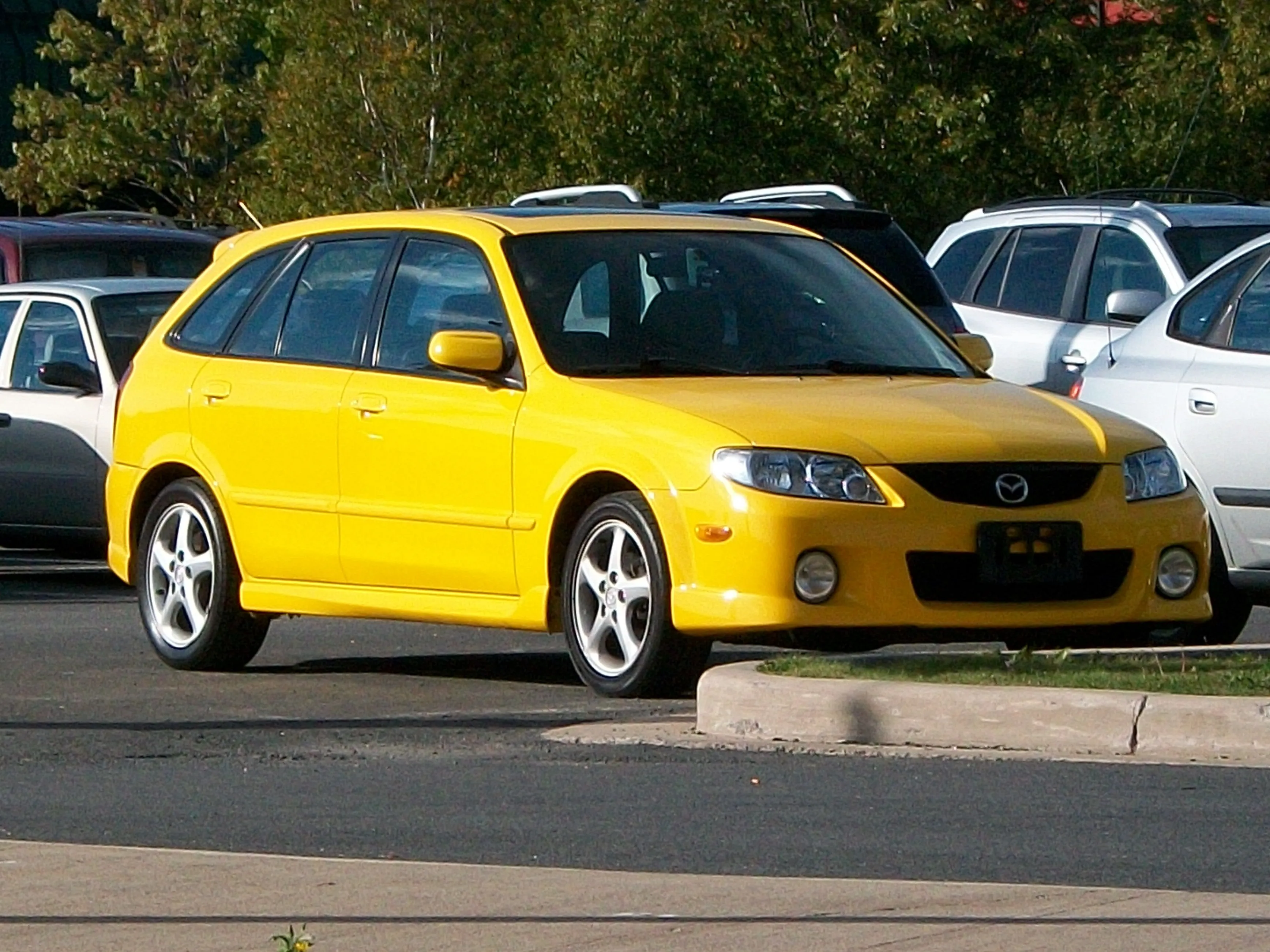100_0012.JPG