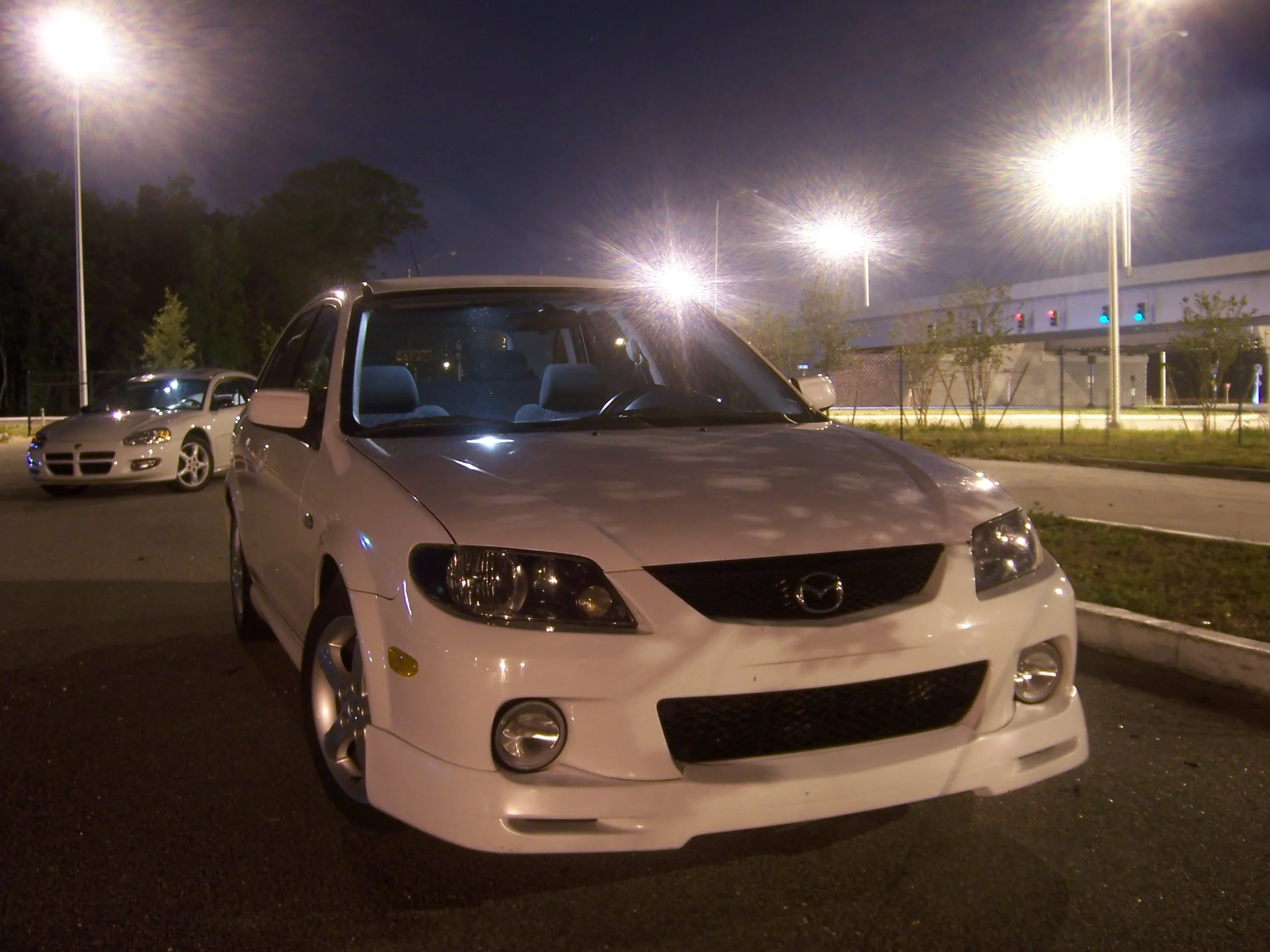 100_0203.webp