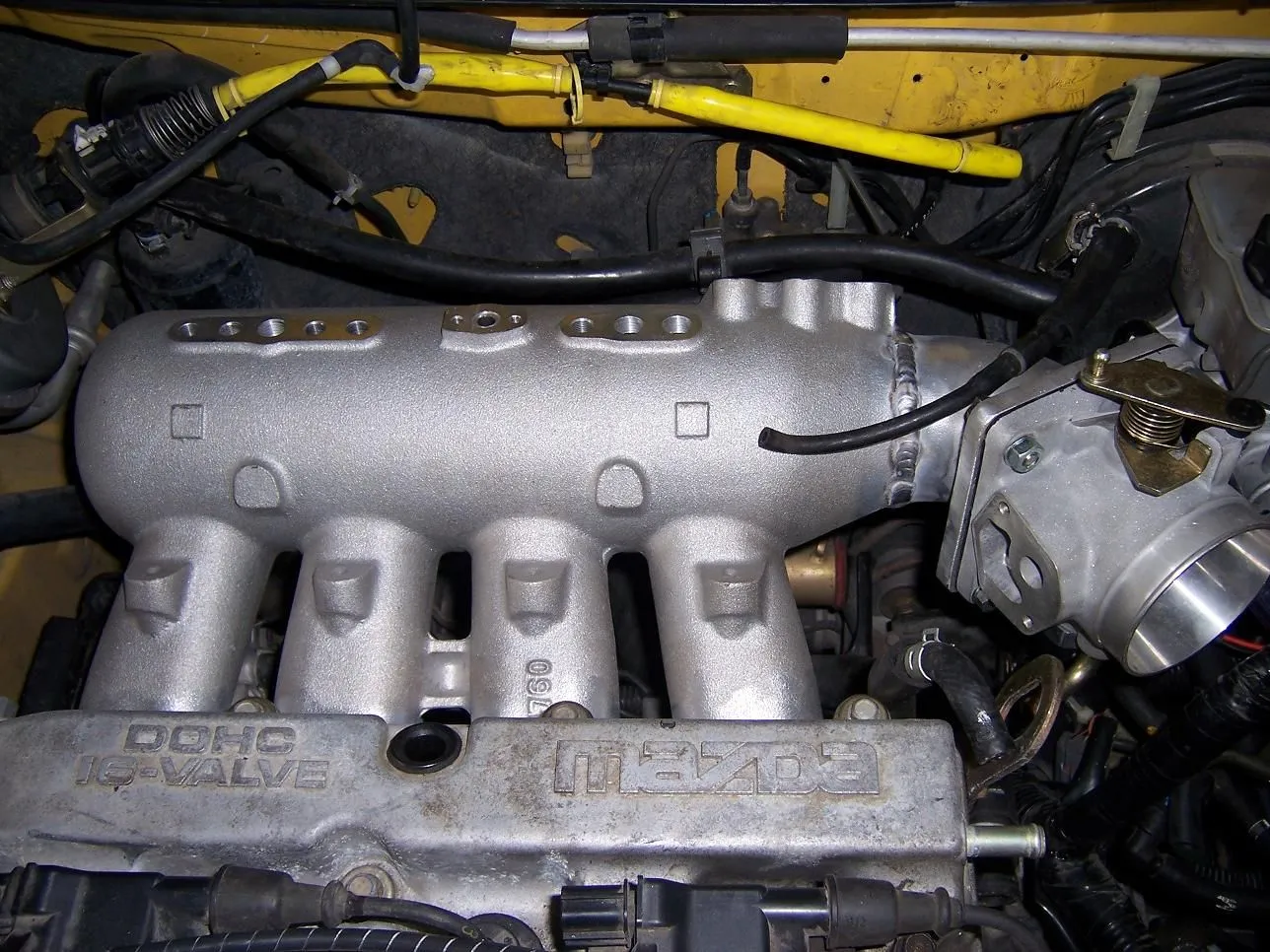 100_0270sm.webp