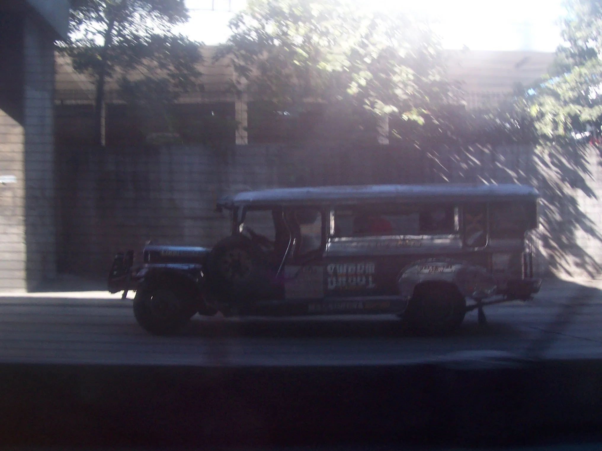 100_0274.webp