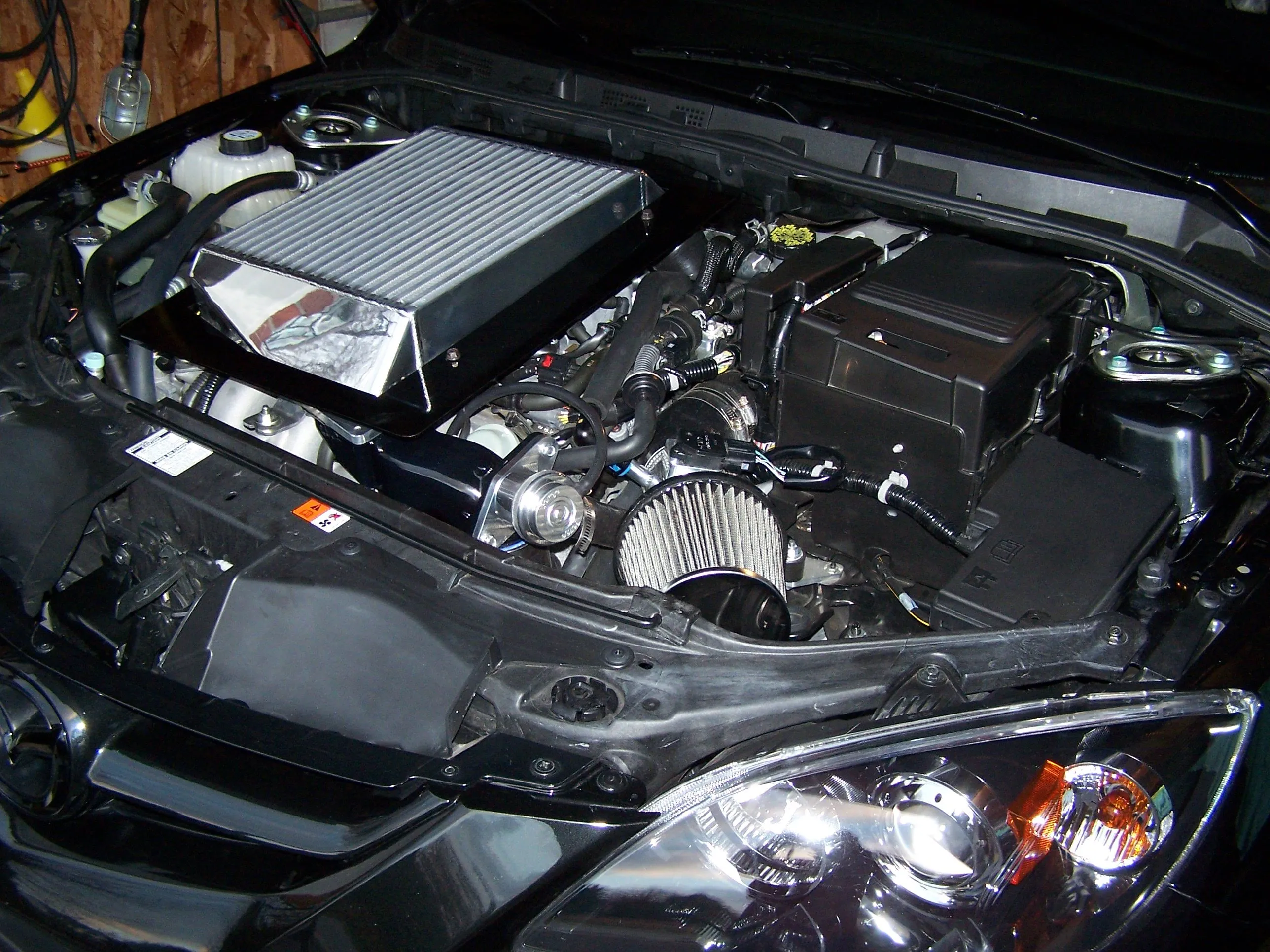 100_0350.JPG