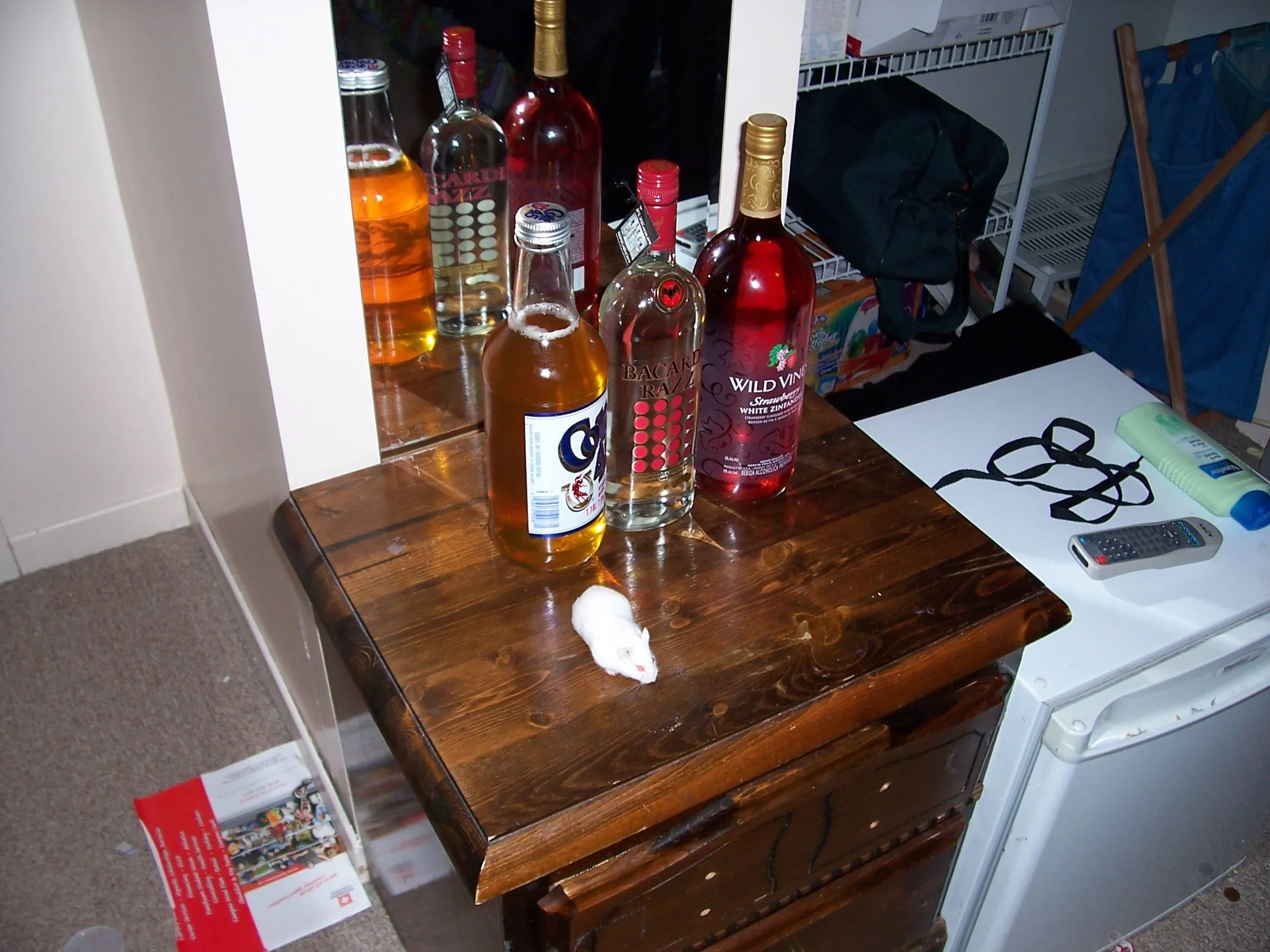 100_0457.webp