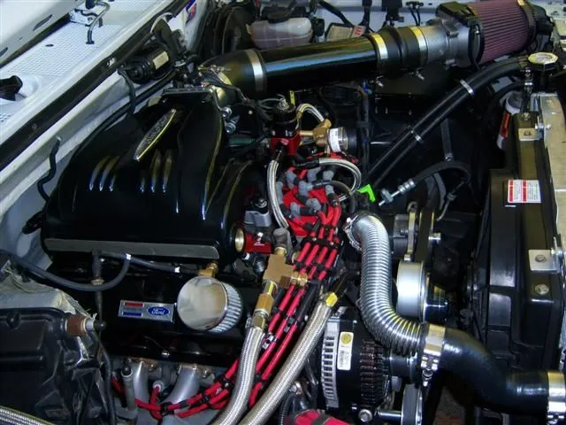 100_0461 (Small).JPG