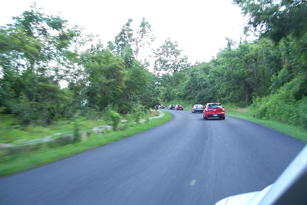 100_0463.webp