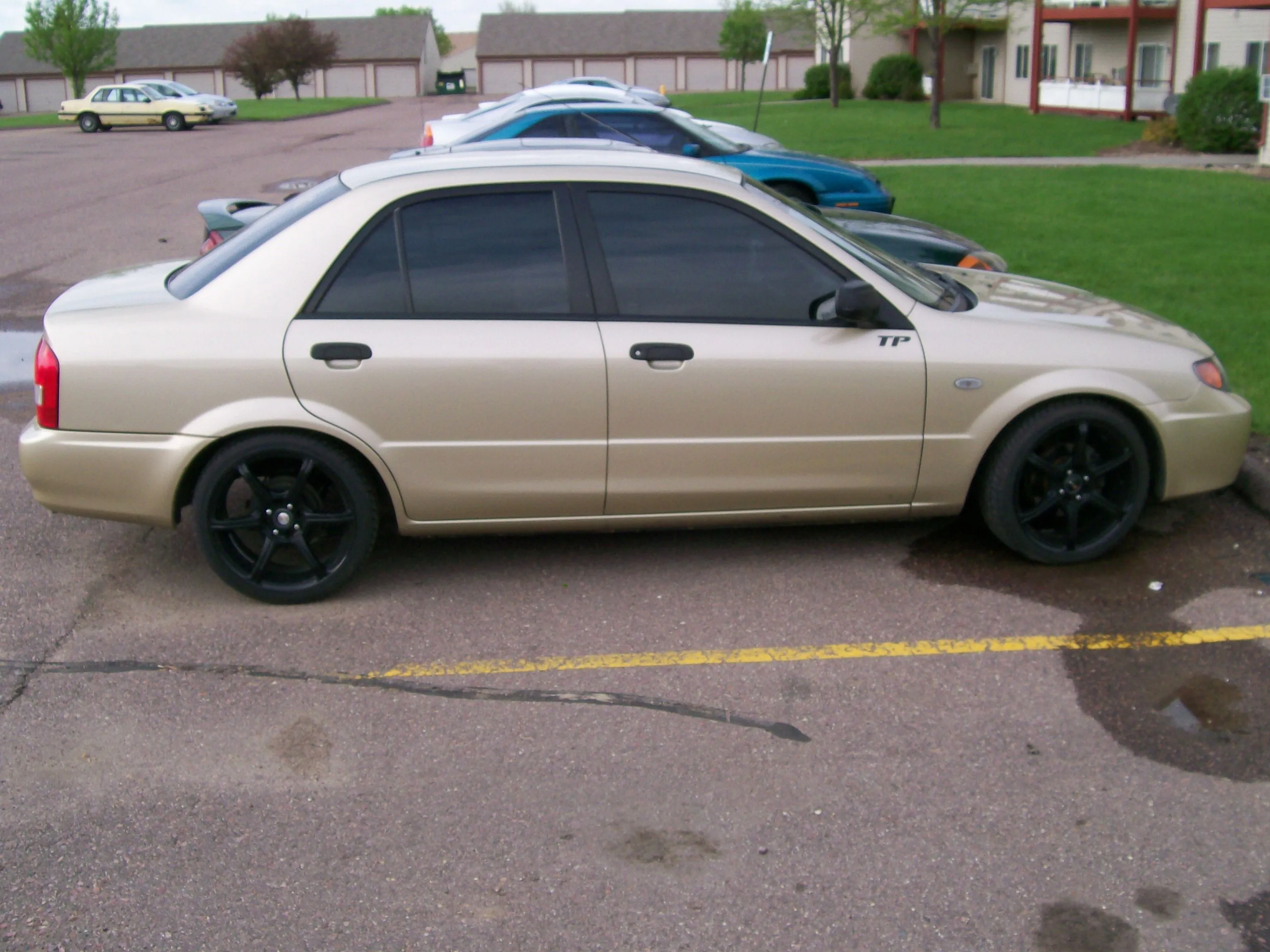 100_0556.webp