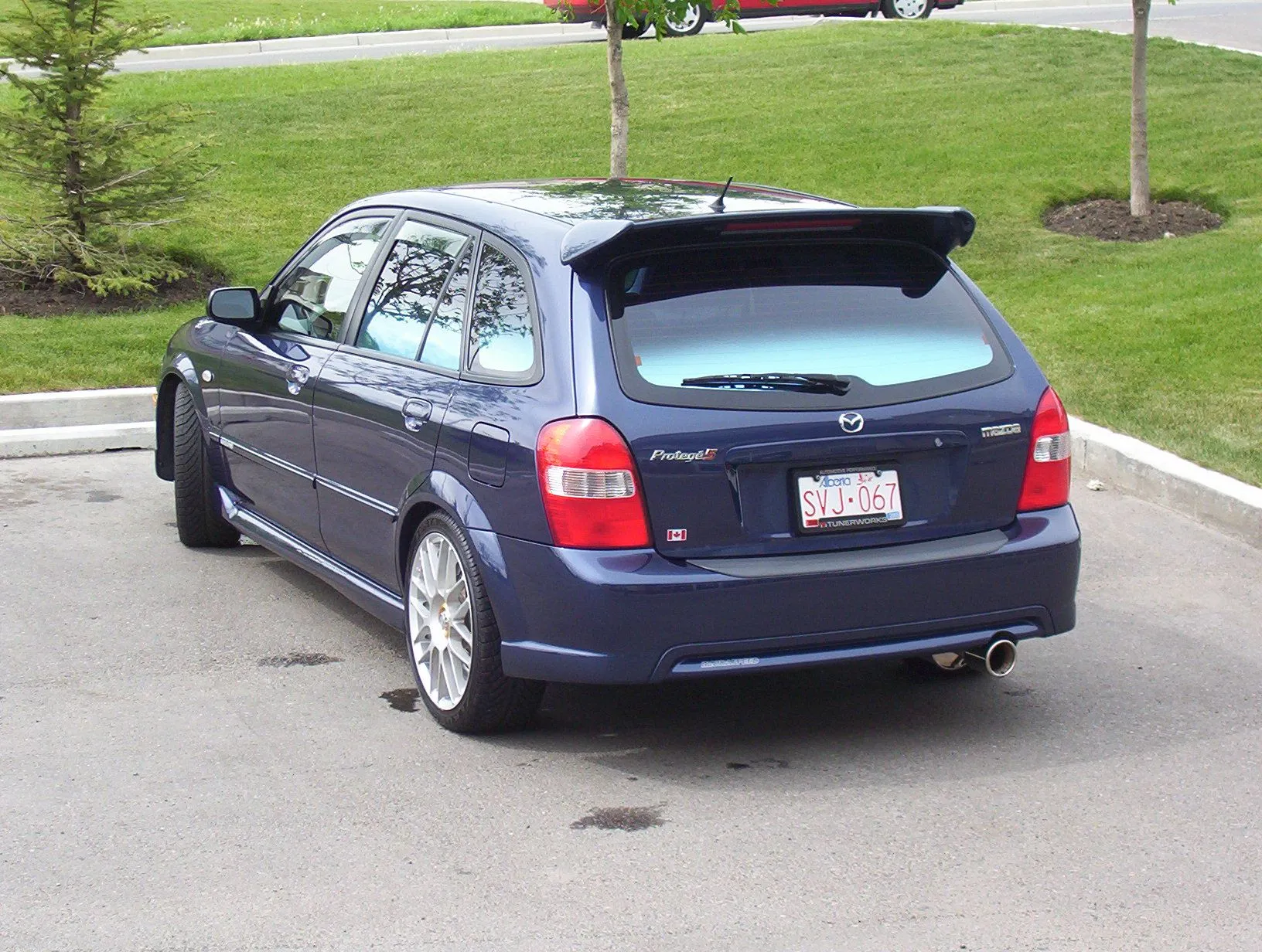 100_0897.webp