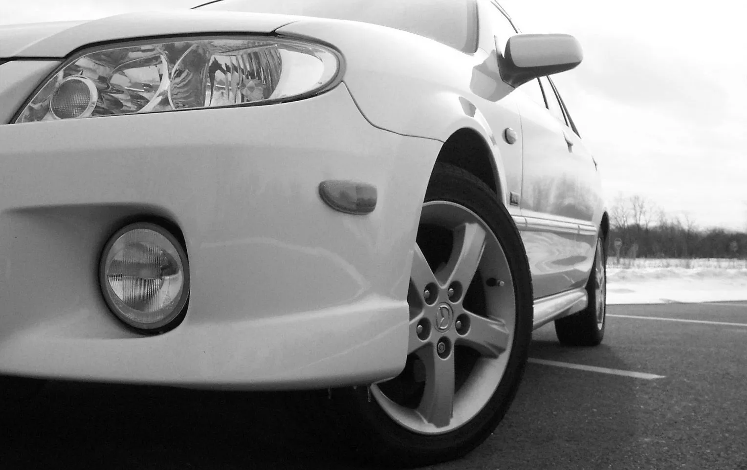 100_1175-b&w.webp