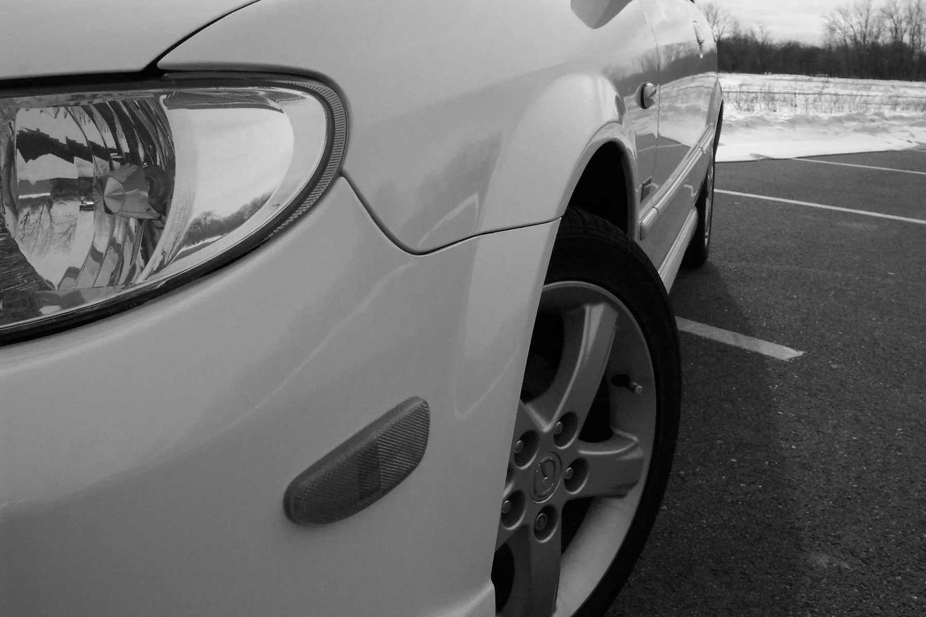 100_1178-b&w.webp
