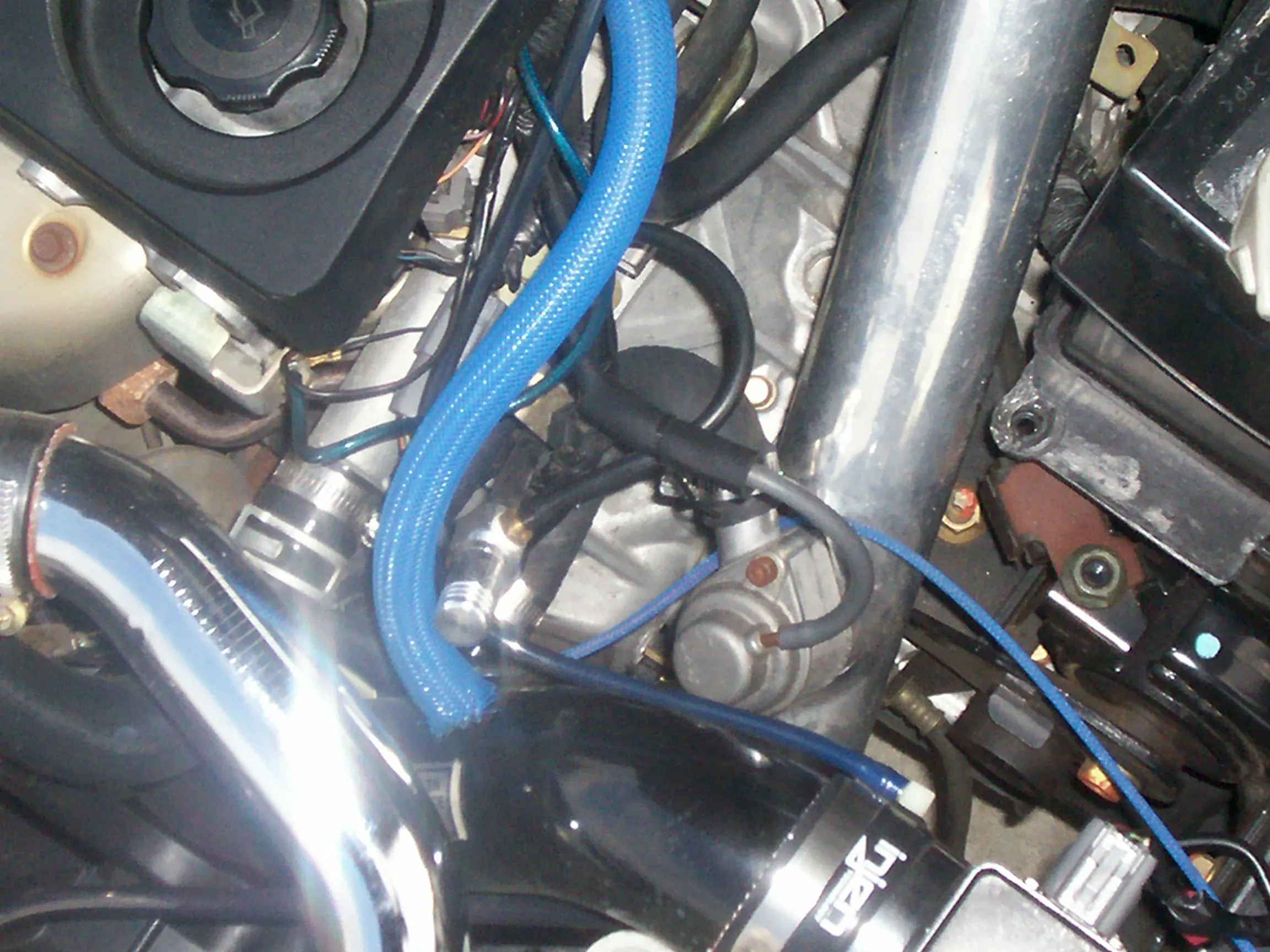 100_1603.webp