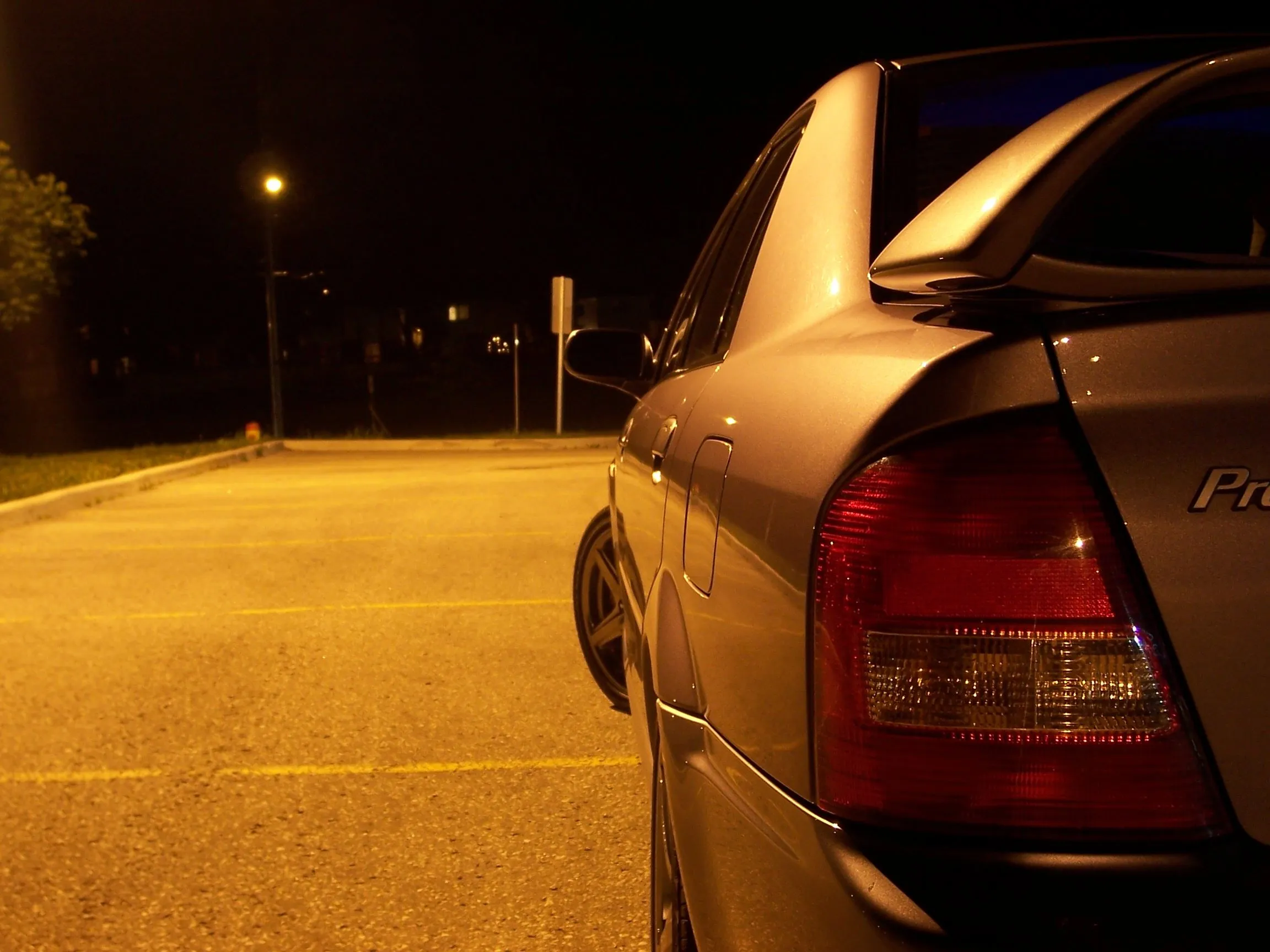 100_1642.webp