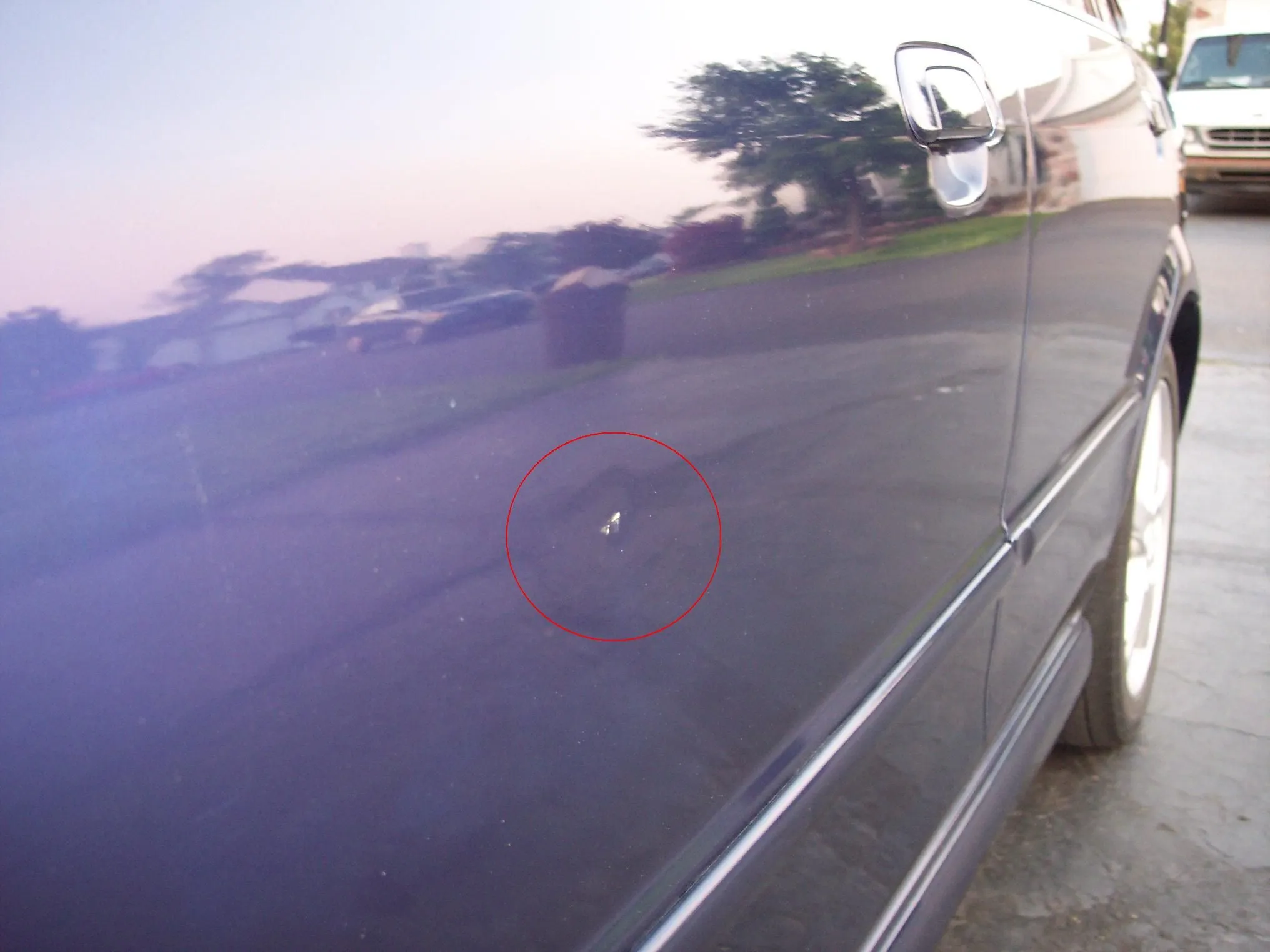 100_1771.webp