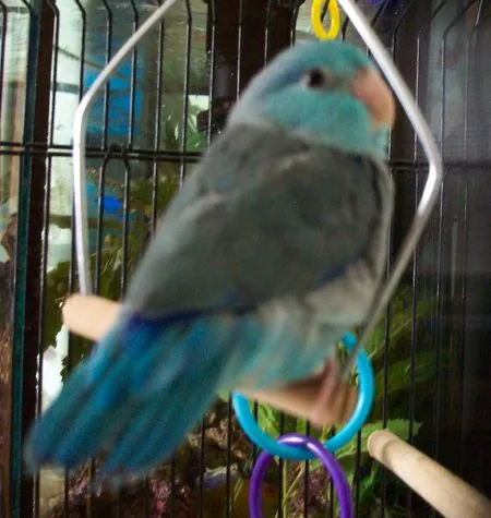 100_2829.webp