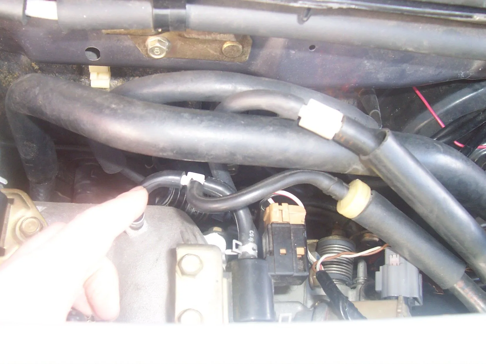 100_3837.webp