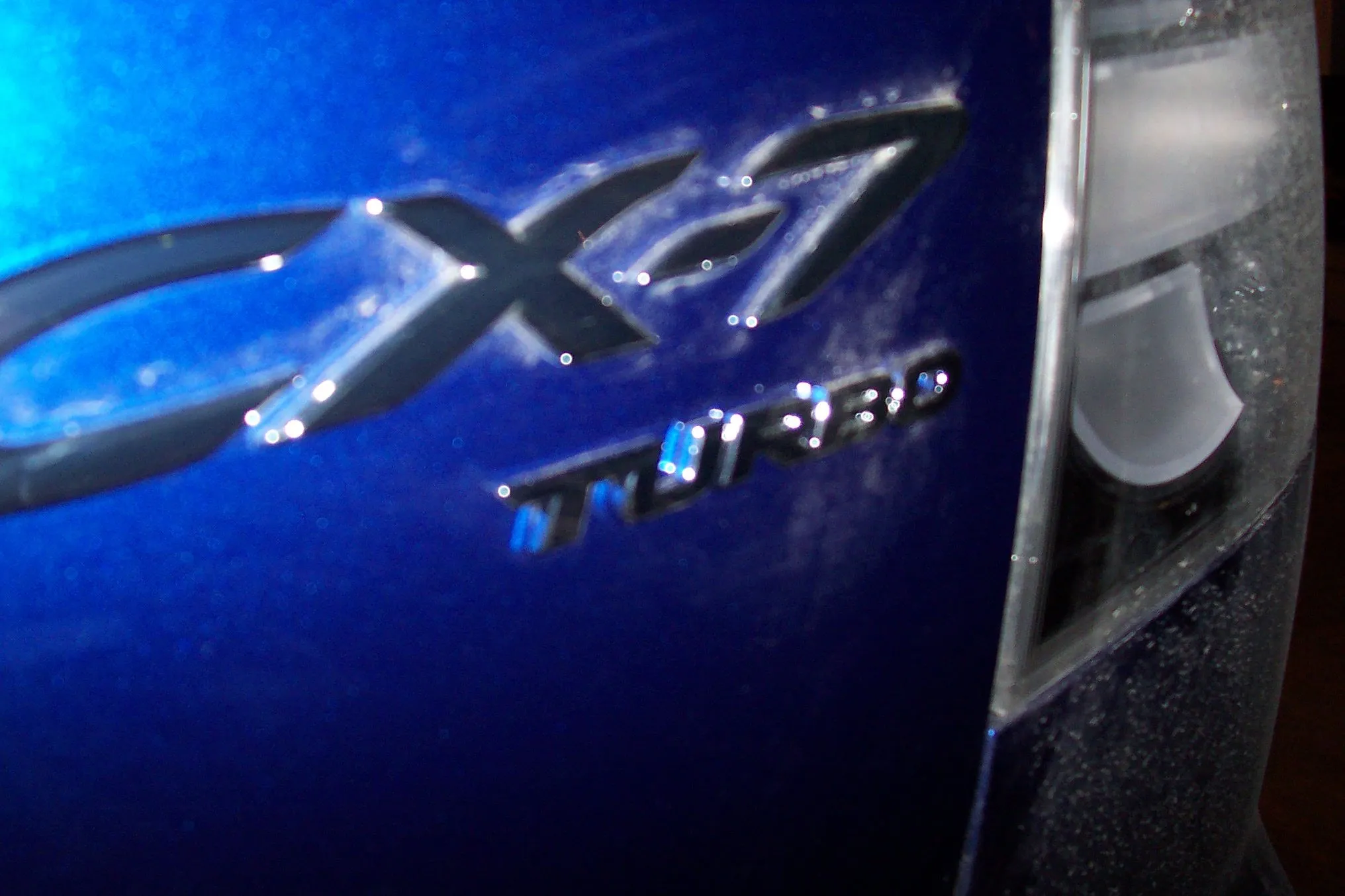 100_3905.JPG