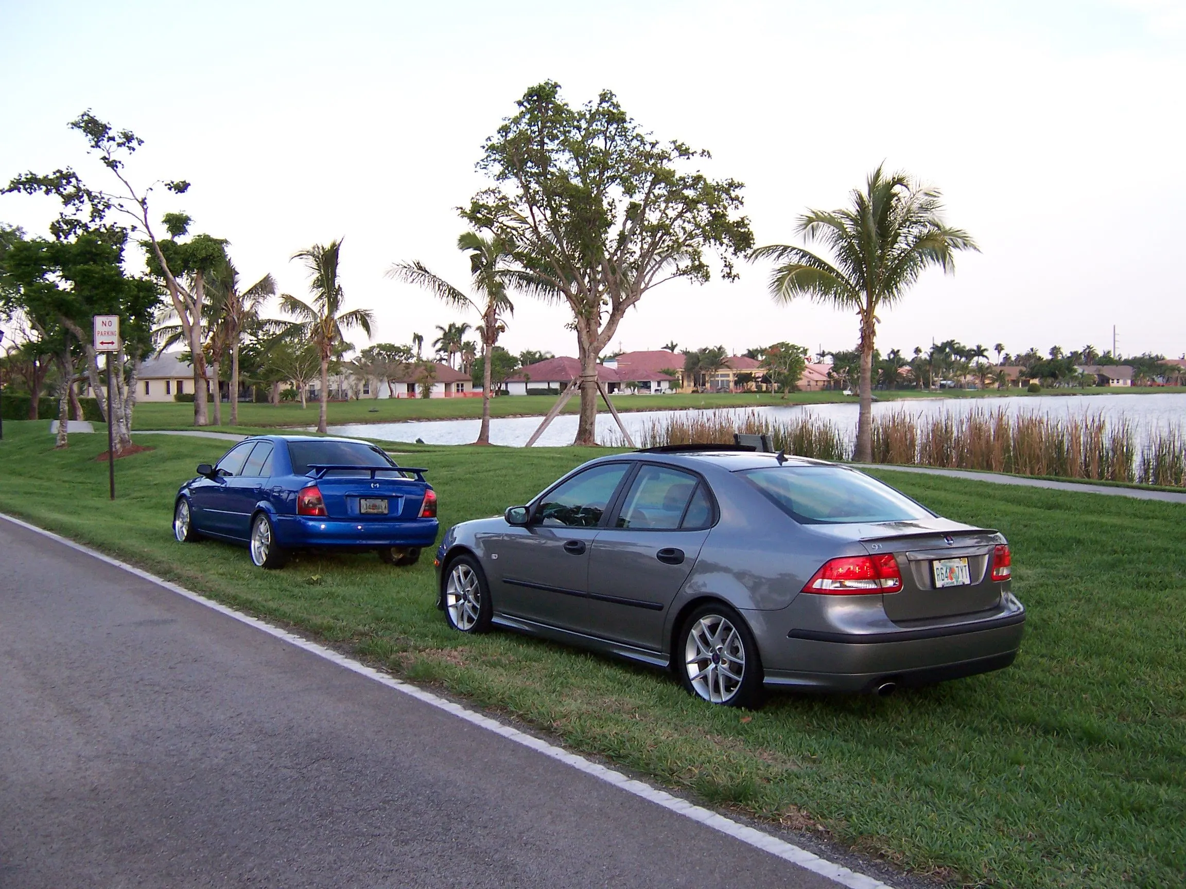 100_4272.webp