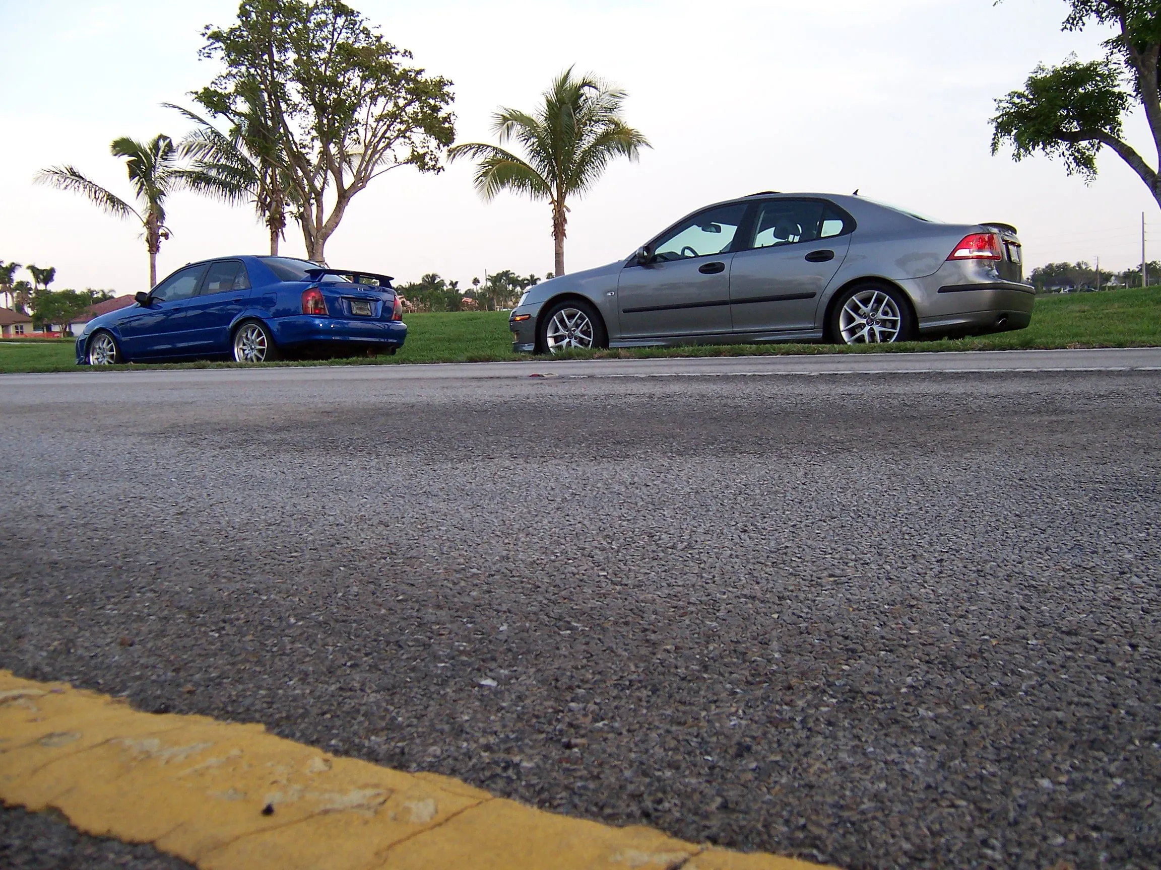 100_4273.webp