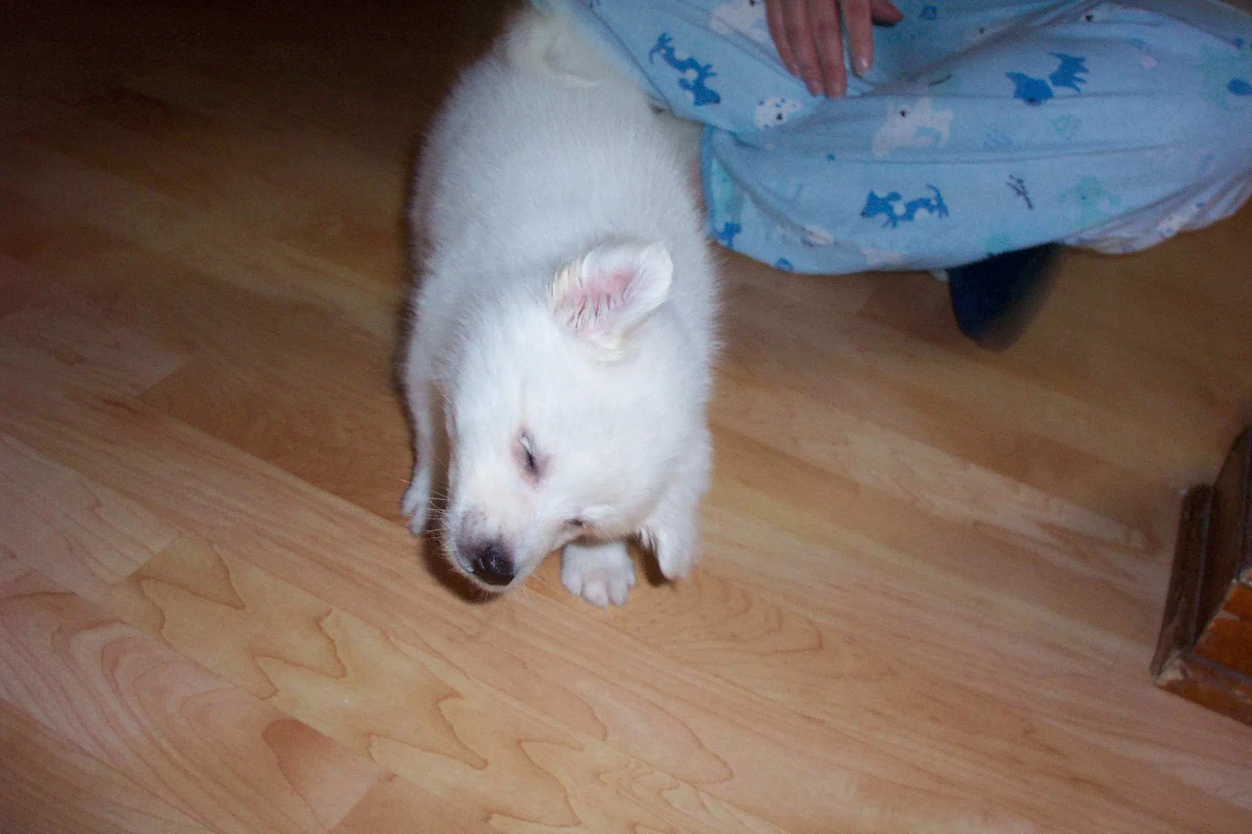 100_4660.webp