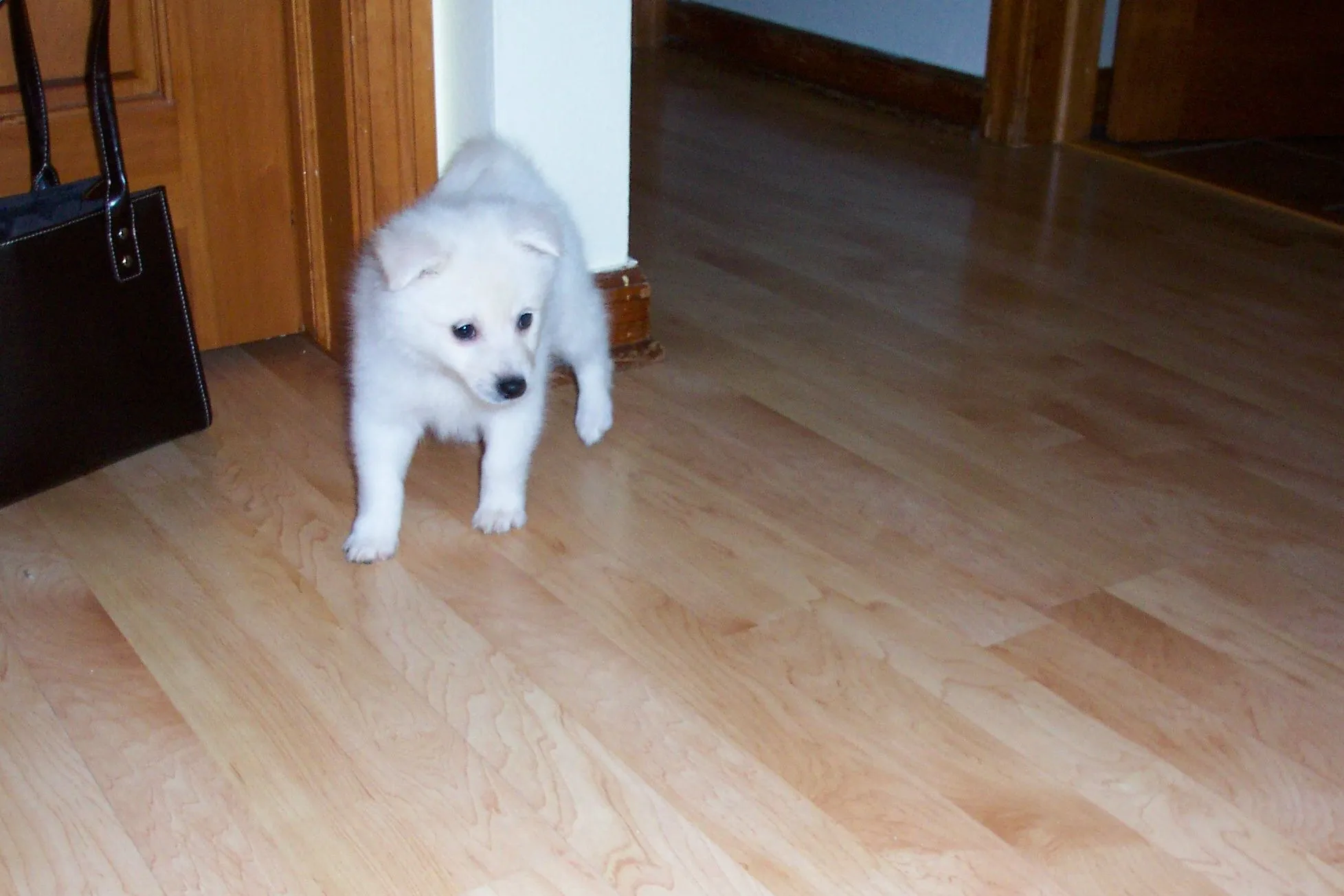 100_4661.webp
