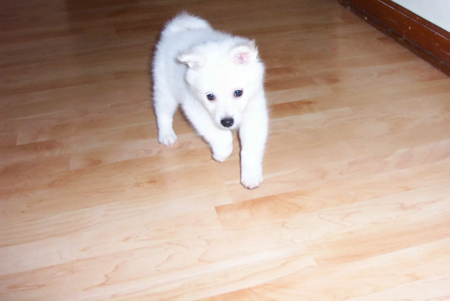 100_4664.webp