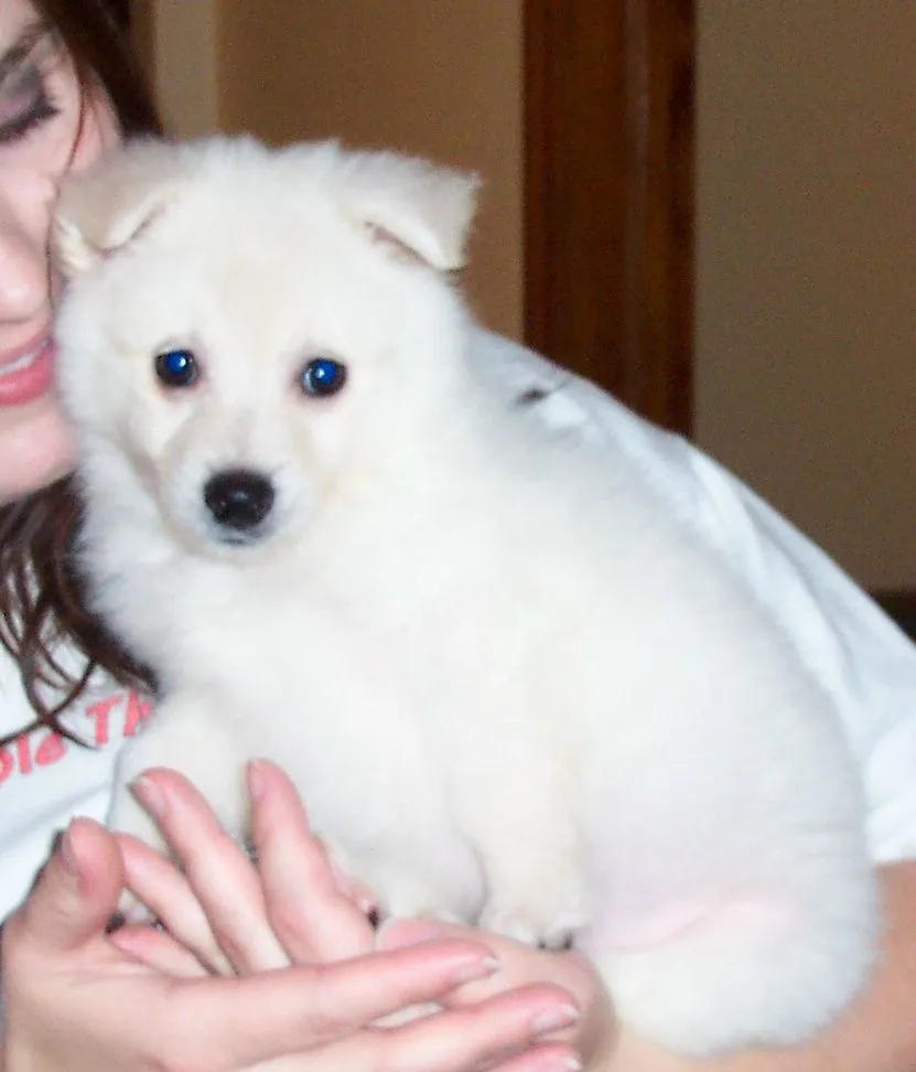 100_4665.webp