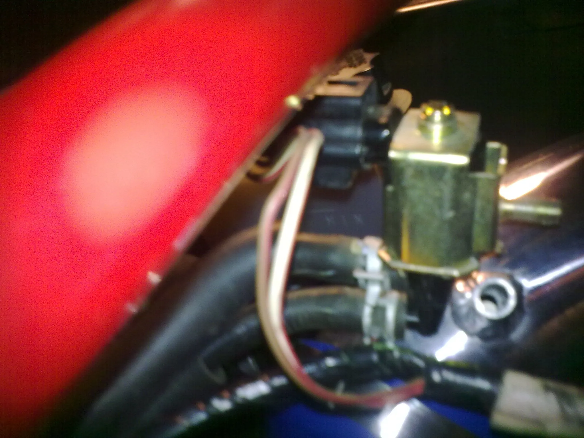 11252010030.jpg