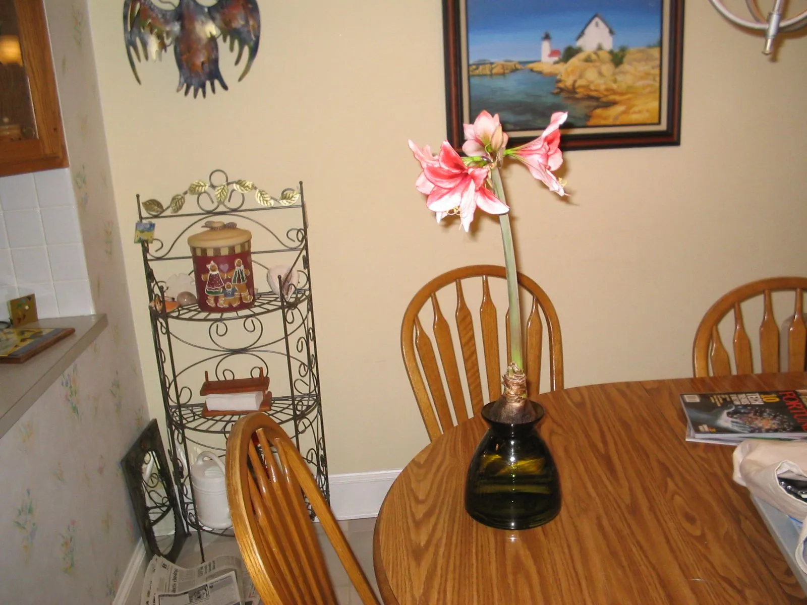125_2559.webp