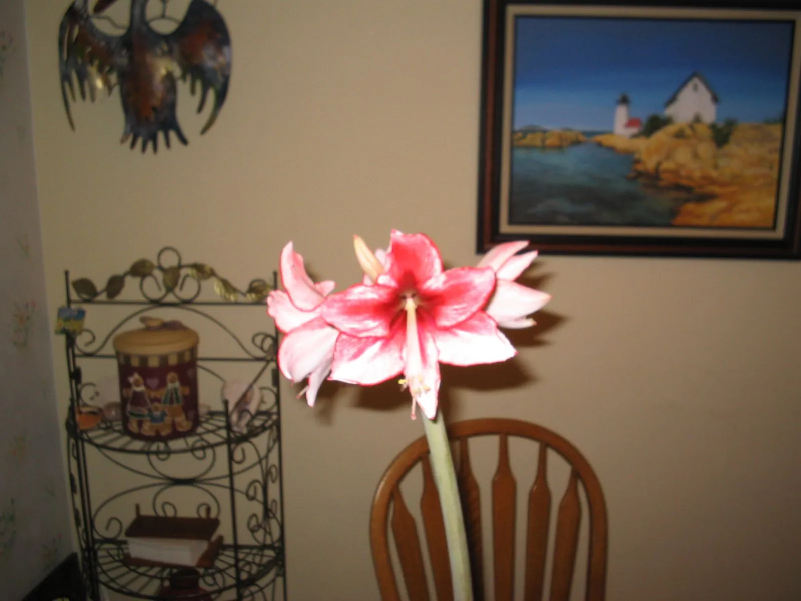 125_2560.webp