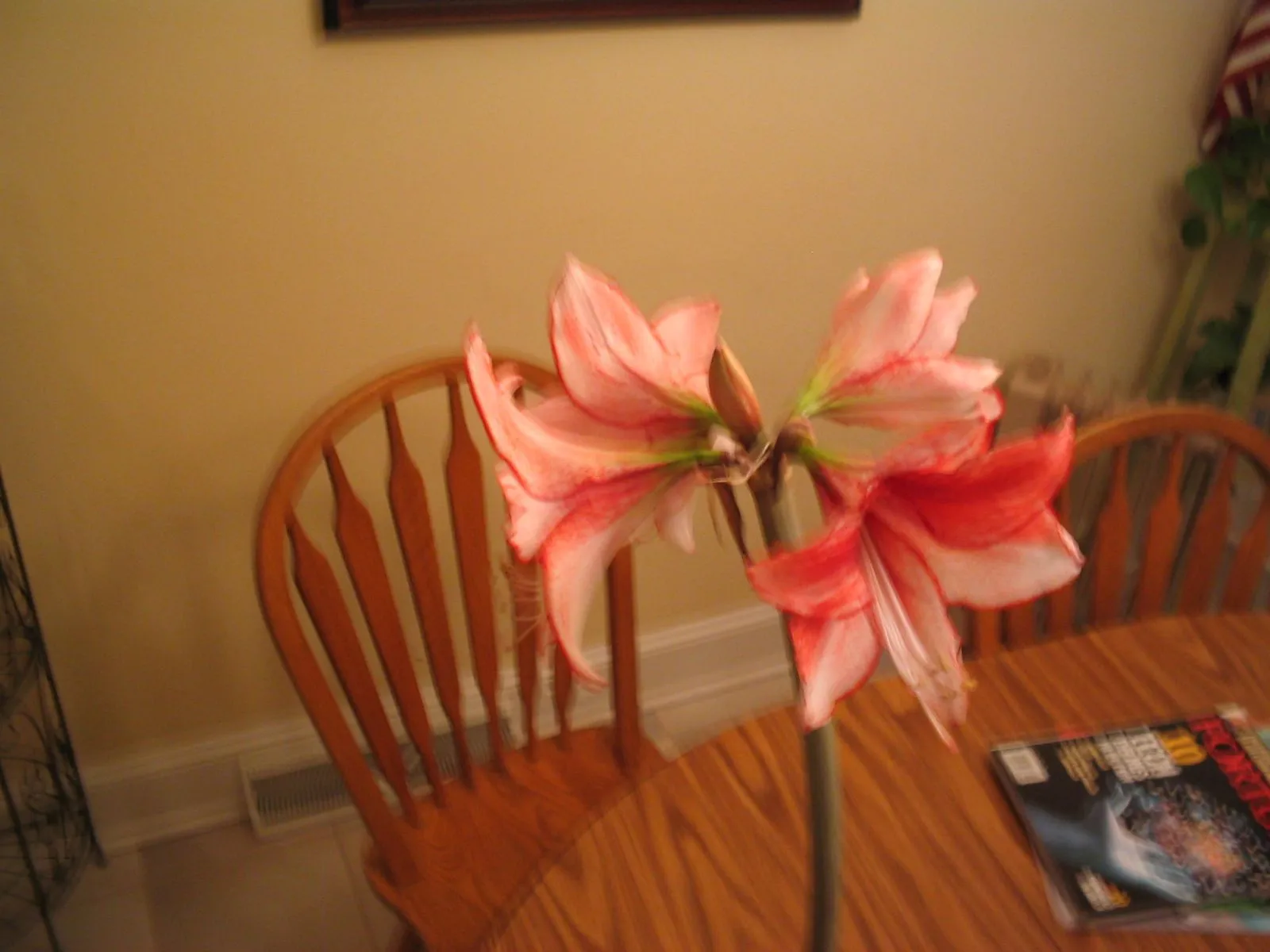 125_2563.webp