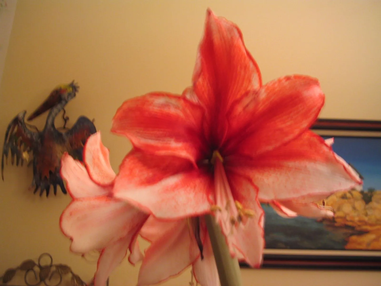 125_2565.webp