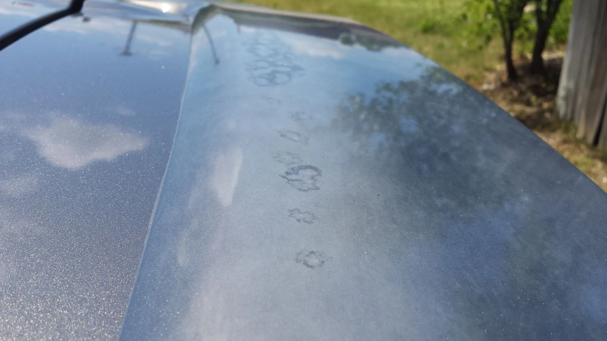 1434216262562-1906748195.jpg