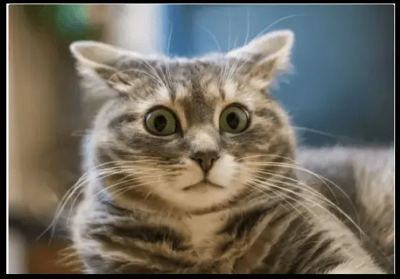 1587354706480.png