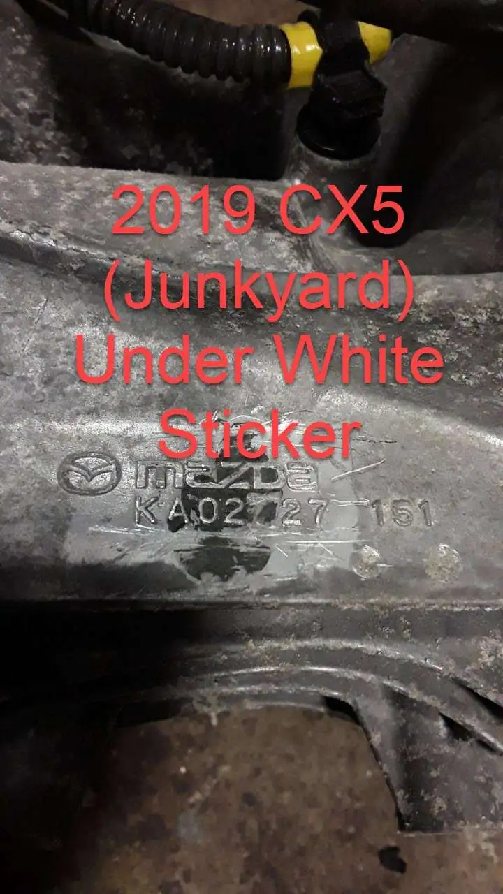 1674587288788.jpg
