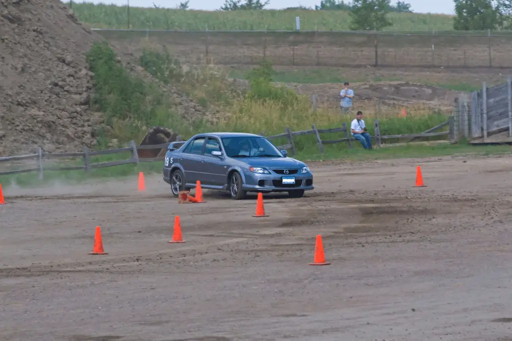 185150366-Orweb.gif