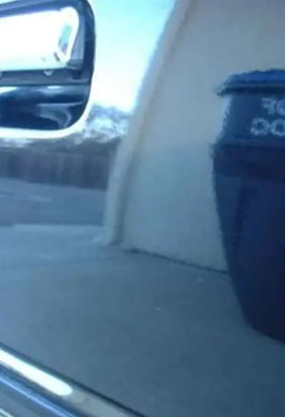 1984 Mustang - After.webp