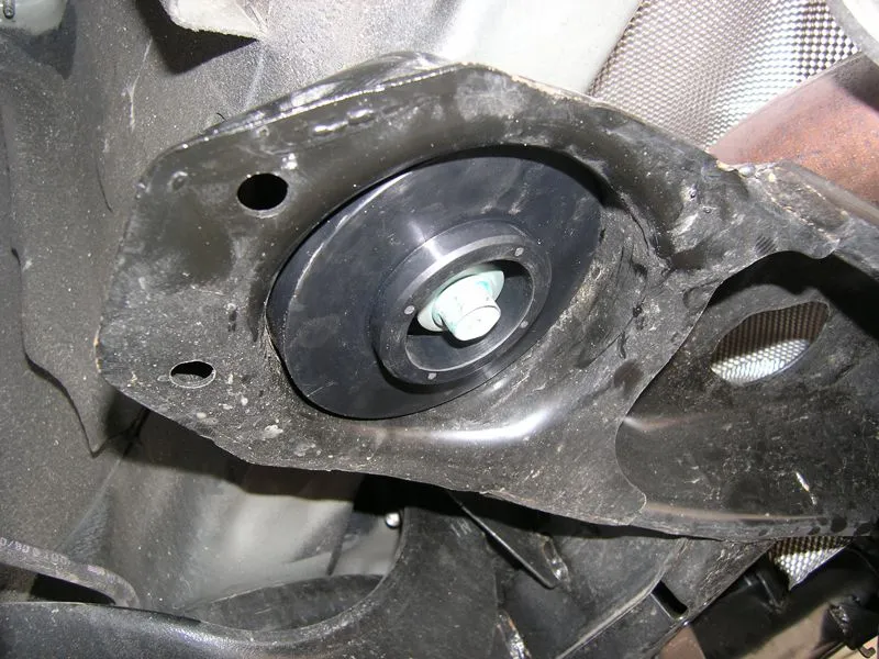 1cup upper perch.jpg