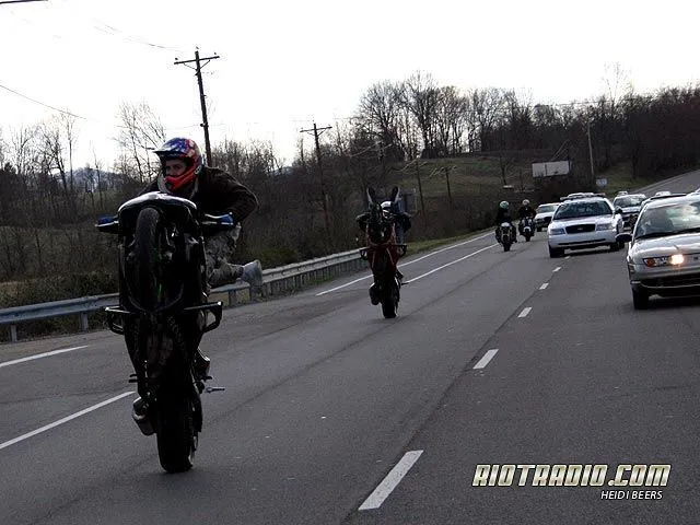 2000903310228697228_rs.webp